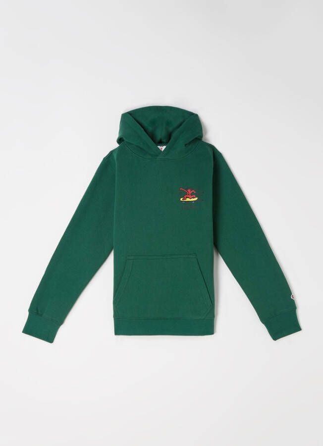 America Today Jongens Hoodie Seven Jr Groen