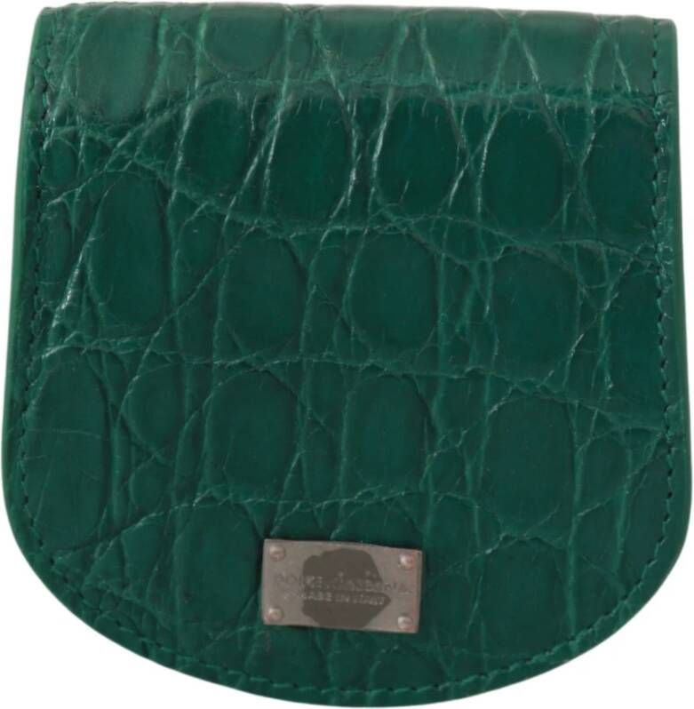 Dolce & Gabbana Portefeuillekaarthouders , Groen, Dames
